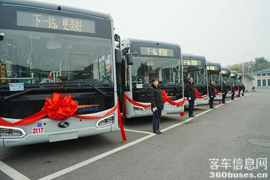 1734318964484649.jpg 4.jpg