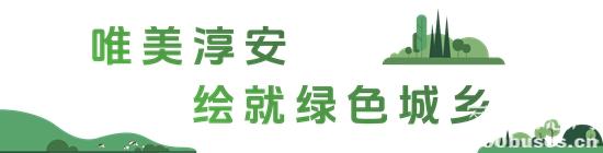 1734576737804961.jpg 2.jpg