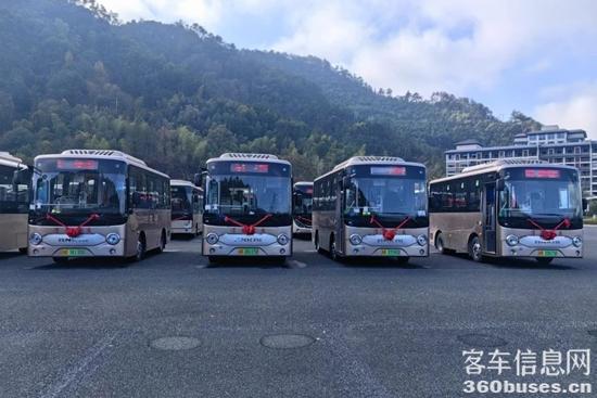 1734576743124571.jpg 3.jpg