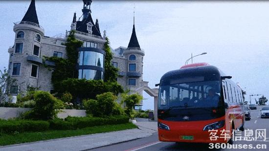 1734662190343125.jpg 13.jpg