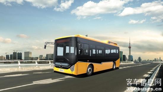 1735005378105566.jpg 2.jpg