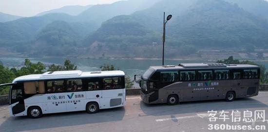 1735275647279627.jpg 5.jpg