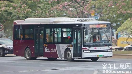 1735276571893606.jpg 3.jpg