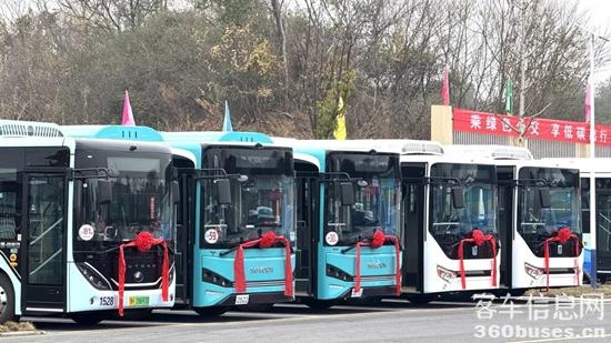 1735526384611386.jpg 2.jpg