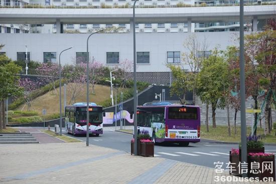 1736124707479993.jpg 3.jpg