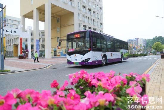 1736124716830435.jpg 4.jpg