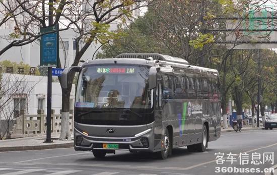 1737009034851850.jpg 2.jpg