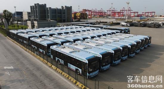 1737592621581914.jpg 1.jpg