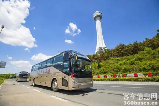 1739318758223923.jpg 3.jpg