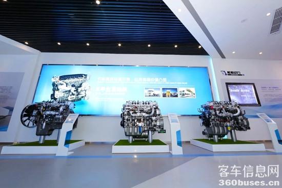 1739440872390515.jpg 6.jpg