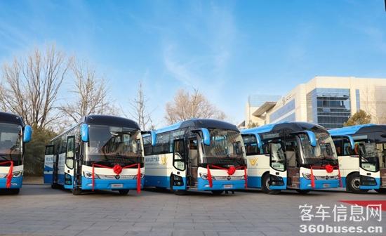 1739768479444242.jpg 5.jpg