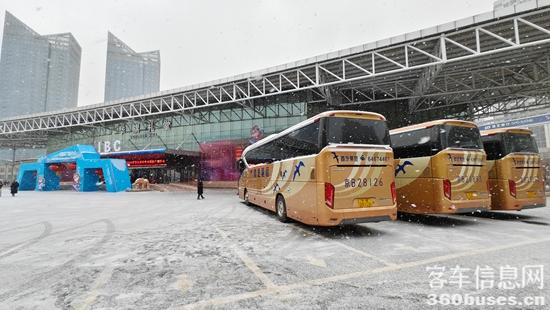 1739843226451720.jpg 2.jpg