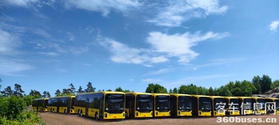 1740100748400632.jpg 5.jpg