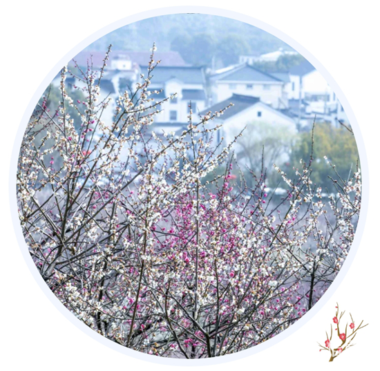 1740459928913867.png 1.png