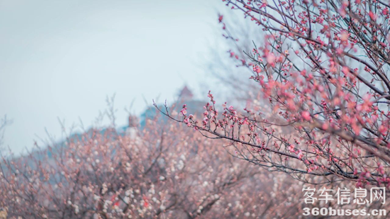 1740460224662521.png 7.png