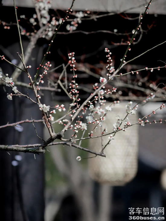 1740460391578580.png 12.png