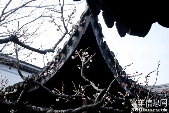 1740460416870356.png 13.png