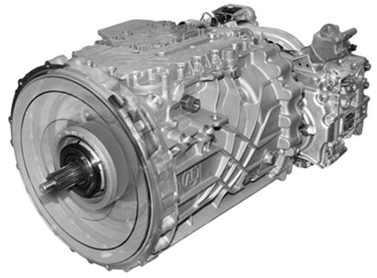 1741671902326579.jpg 2.jpg