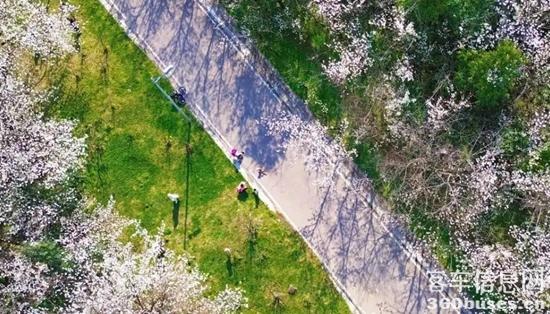 1742963282392258.jpg 1.webp.jpg