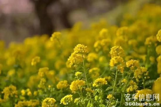 1742963288765186.jpg 2.webp.jpg