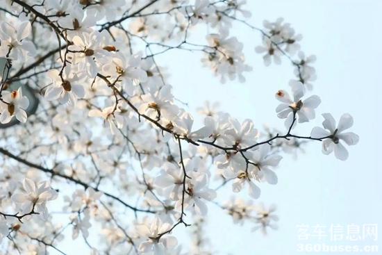 1742963302698277.jpg 4.webp.jpg