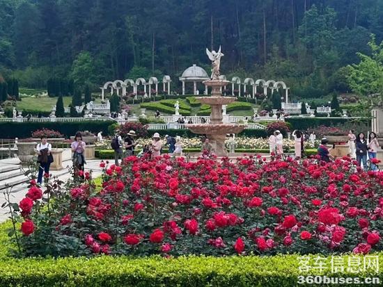 1742963311213231.jpg 5.webp.jpg