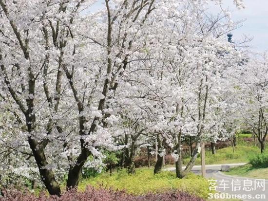 1742963319806168.jpg 6.webp.jpg