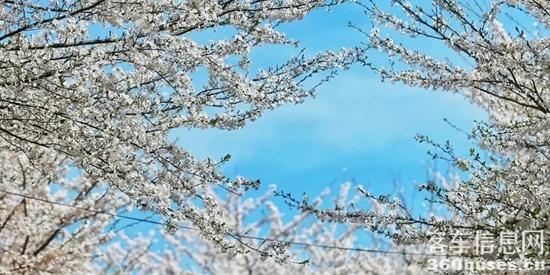 1742963332534192.jpg 8.webp.jpg