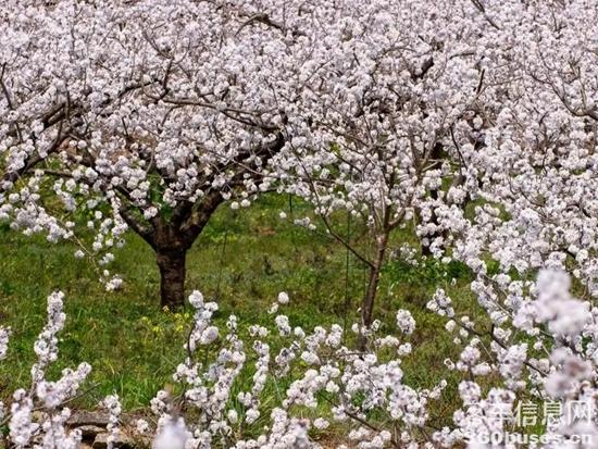 1742963338998465.jpg 9.webp.jpg