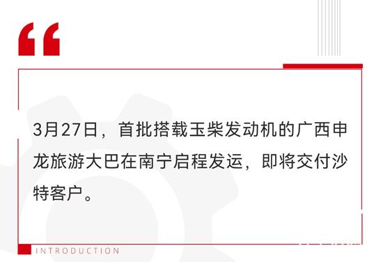 1743383532748778.jpg 1.jpg