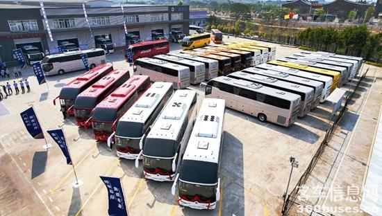 1743383554187006.jpg 2.jpg