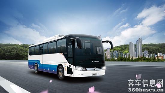 1743571150620894.jpg 4.jpg