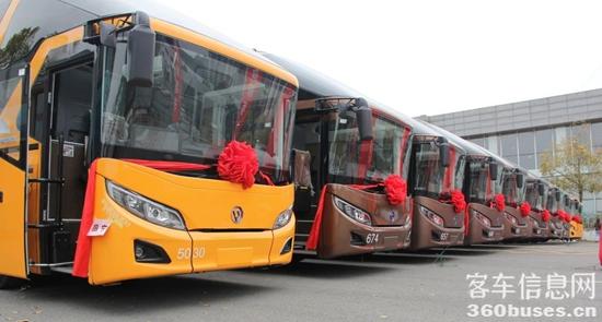 1744006013314589.jpg 2.jpg