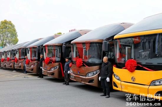 1744006018808636.jpg 3.jpg