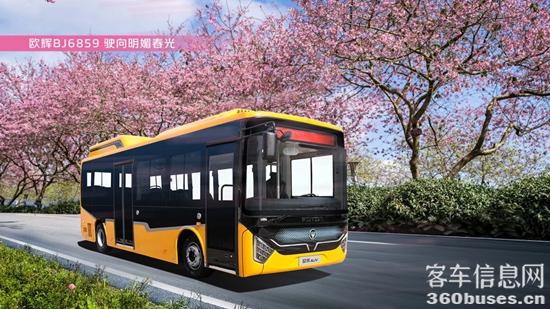 1744077065460014.jpg 1.jpg