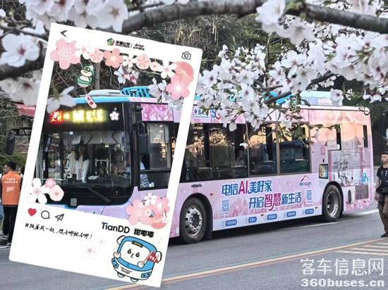 1744348425331417.jpg 2.jpg