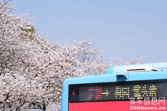 1744348432130198.jpg 3.jpg