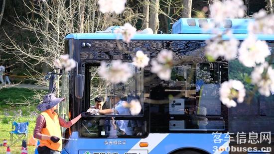 1744348439855854.jpg 4.jpg