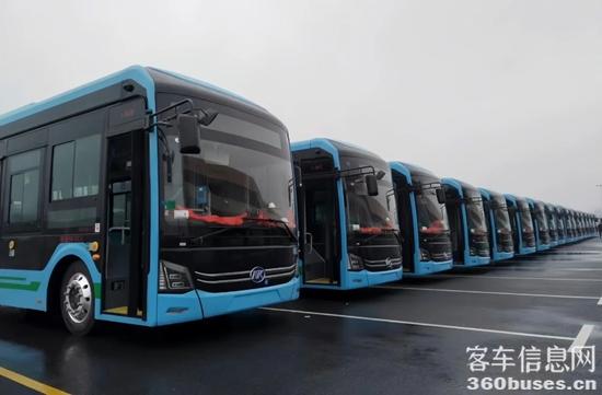 1745231606704184.jpg 4.jpg