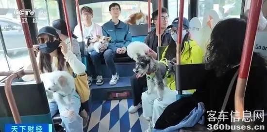 1747621265457266.jpg 1.webp.jpg