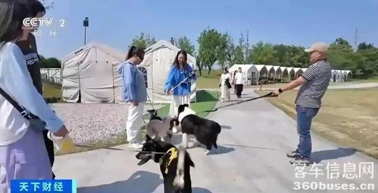 1747621278834559.jpg 3.webp.jpg