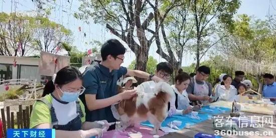 1747621287782705.jpg 4.webp.jpg