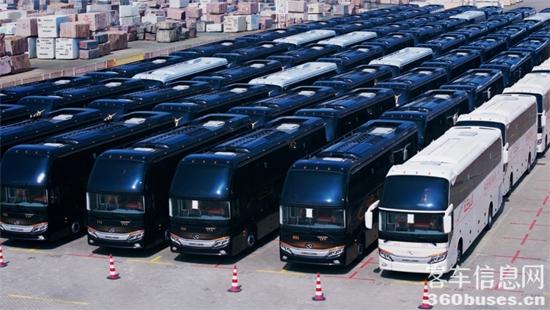 1748308587348320.jpg 3.jpg