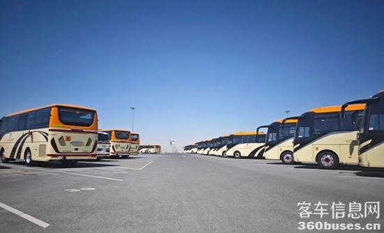 1749175016143269.jpg 1.jpg