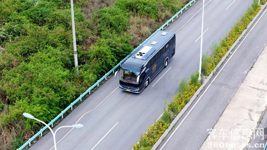 1749187163101821.jpg 16.jpg