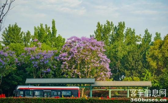 1749433046504407.jpg 1.jpg