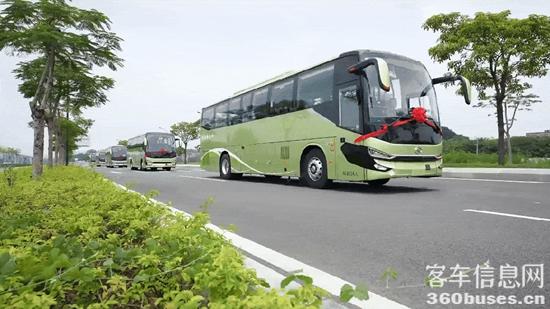 1750219986706560.jpg 4.jpg