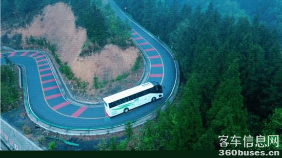 1750223617200180.jpg 3.jpg