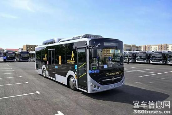 1750223631448736.jpg 5.jpg