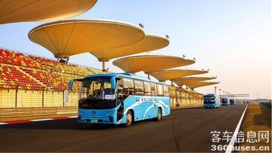 1750640180176261.jpg 4.jpg